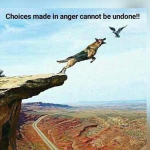 Meet your Posher, Jaidenhenry